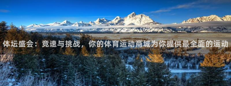 vsport体育官方正版app官方:体坛盛会:竞速与挑战,你