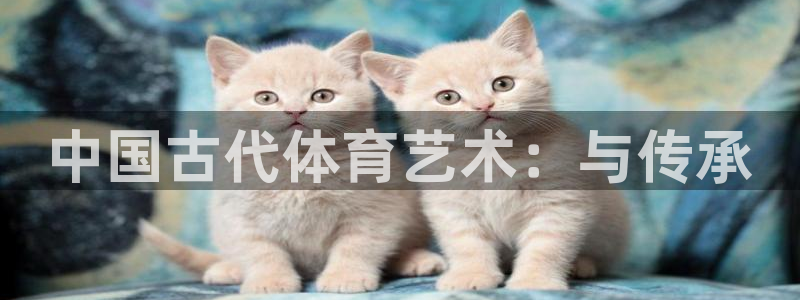 vsport体育官网下载平台注册:中国古代体育艺术:与传承